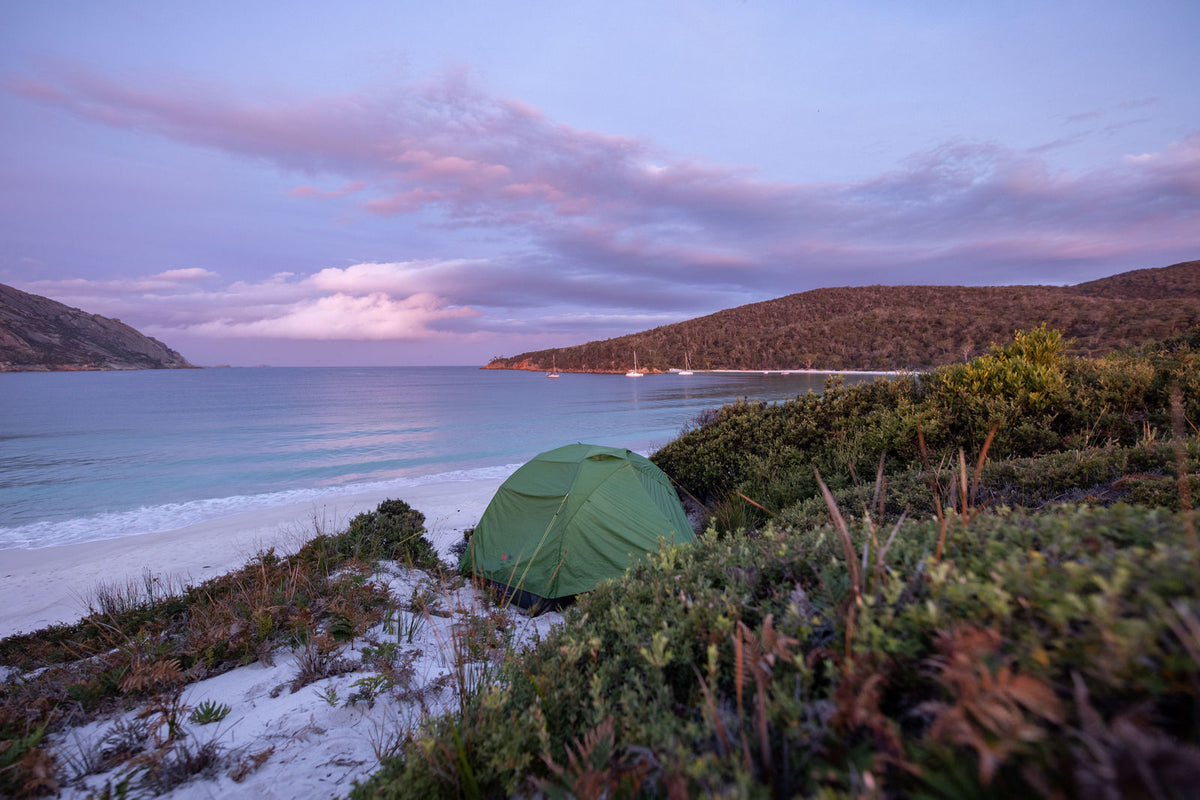 Save Big on BlackWolf Tents & Accessories for Black Friday